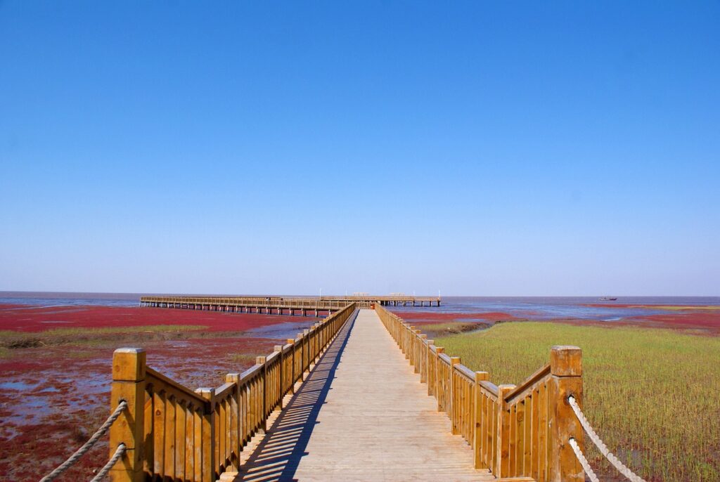 Praia Vermelha, Panjin, China