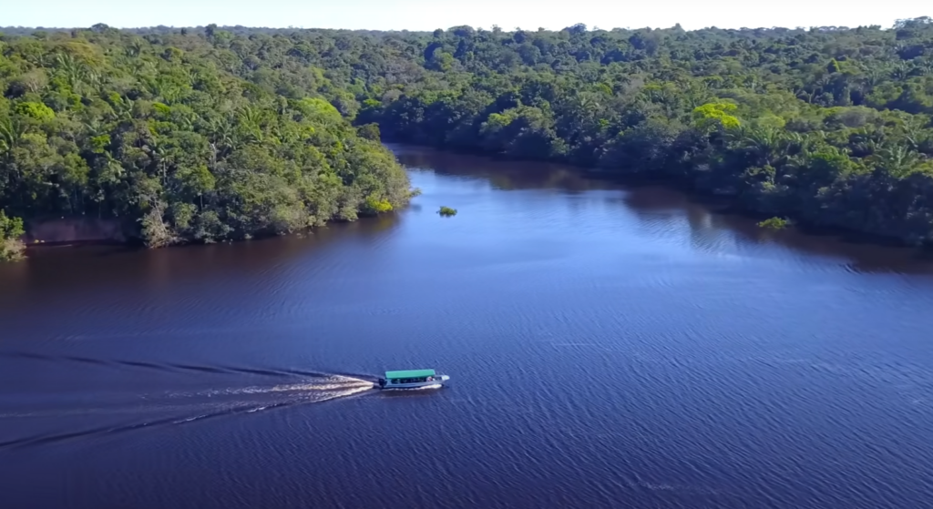 Amazônia